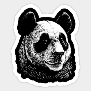 Panda Head Sticker